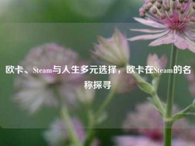 欧卡、Steam与人生多元选择，欧卡在Steam的名称探寻