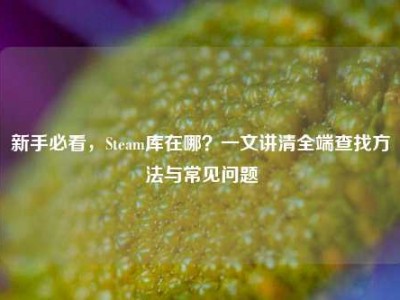 新手必看，Steam库在哪？一文讲清全端查找方法与常见问题