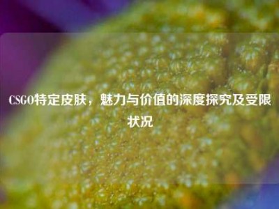 CSGO特定皮肤，魅力与价值的深度探究及受限状况