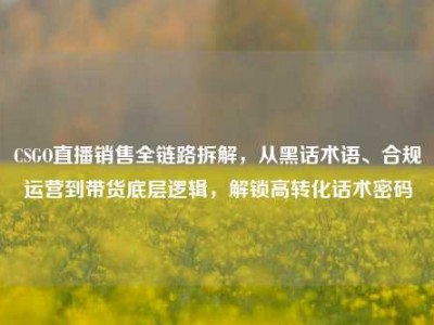 CSGO直播销售全链路拆解，从黑话术语、合规运营到带货底层逻辑，解锁高转化话术密码
