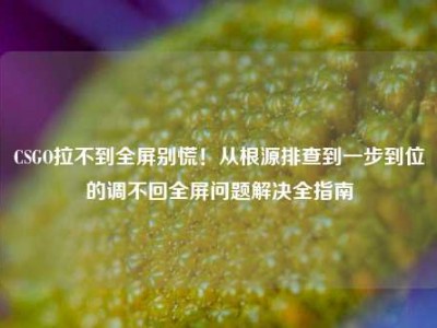CSGO拉不到全屏别慌！从根源排查到一步到位的调不回全屏问题解决全指南