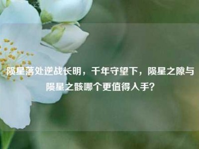 陨星落处逆战长明，千年守望下，陨星之隙与陨星之骸哪个更值得入手？
