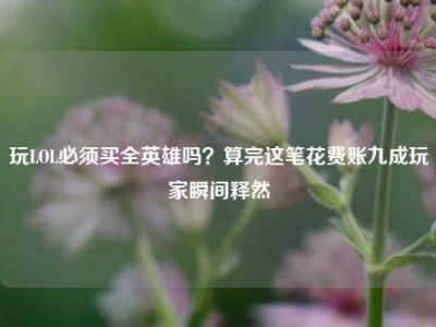 玩LOL必须买全英雄吗？算完这笔花费账九成玩家瞬间释然