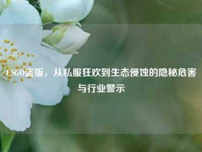 CSGO盗版，从私服狂欢到生态侵蚀的隐秘危害与行业警示
