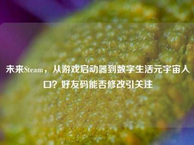 未来Steam，从游戏启动器到数字生活元宇宙入口？好友码能否修改引关注