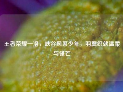 王者荣耀一洛，峡谷风系少年，羽翼织就温柔与锋芒