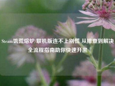Steam饥荒熔炉/联机版连不上别慌 从排查到解决全流程指南助你快速开黑