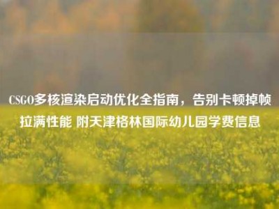 CSGO多核渲染启动优化全指南，告别卡顿掉帧拉满性能 附天津格林国际幼儿园学费信息