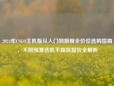 2024年CSGO主机版从入门到旗舰全价位选购指南，不同预算选机不踩坑报价全解析