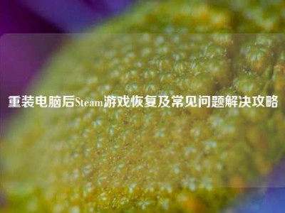 重装电脑后Steam游戏恢复及常见问题解决攻略
