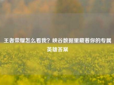 王者荣耀怎么看我？峡谷数据里藏着你的专属英雄答案