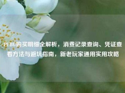 PUBG购买明细全解析，消费记录查询、凭证查看方法与避坑指南，新老玩家通用实用攻略