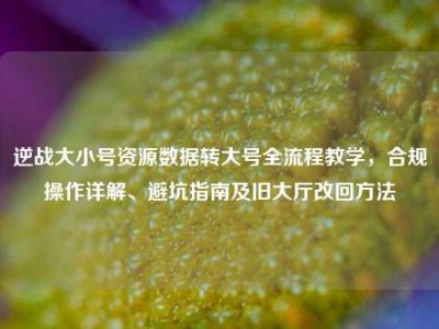 逆战大小号资源数据转大号全流程教学，合规操作详解、避坑指南及旧大厅改回方法