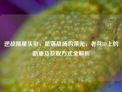 逆战陨星头衔，坠落战场的荣光，老兵ID上的勋章及获取方式全解析