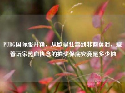 PUBG国际服开箱，从欧皇狂喜到非酋落泪，藏着玩家热血执念的抽奖保底究竟是多少抽