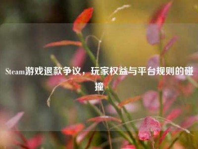 Steam游戏退款争议，玩家权益与平台规则的碰撞