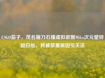 CSGO茄子，茂名磨刀石撞虚拟歌姬Miku次元壁碎超白给，其被禁赛原因引关注