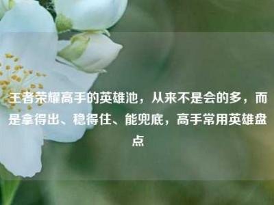 王者荣耀高手的英雄池，从来不是会的多，而是拿得出、稳得住、能兜底，高手常用英雄盘点