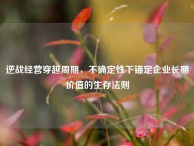 逆战经营穿越周期，不确定性下锚定企业长期价值的生存法则