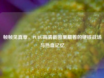 帧帧见真章，PUBG高清截图里藏着的硬核战场与热血记忆