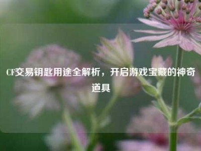 CF交易钥匙用途全解析，开启游戏宝藏的神奇道具