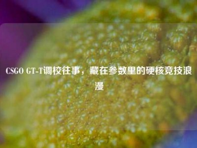 CSGO GT-T调校往事，藏在参数里的硬核竞技浪漫