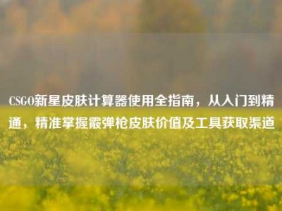 CSGO新星皮肤计算器使用全指南，从入门到精通，精准掌握霰弹枪皮肤价值及工具获取渠道