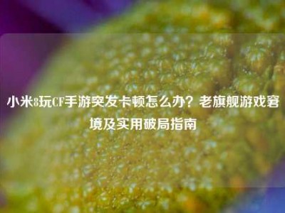 小米8玩CF手游突发卡顿怎么办？老旗舰游戏窘境及实用破局指南