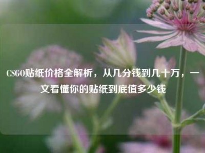 CSGO贴纸价格全解析，从几分钱到几十万，一文看懂你的贴纸到底值多少钱