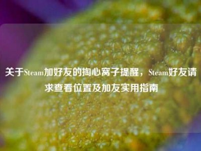 关于Steam加好友的掏心窝子提醒，Steam好友请求查看位置及加友实用指南