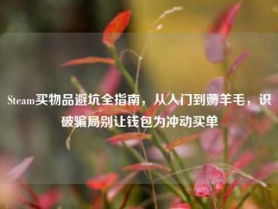Steam买物品避坑全指南，从入门到薅羊毛，识破骗局别让钱包为冲动买单