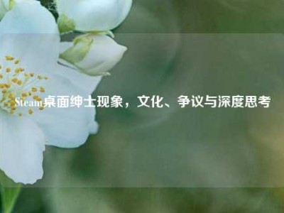 Steam桌面绅士现象，文化、争议与深度思考
