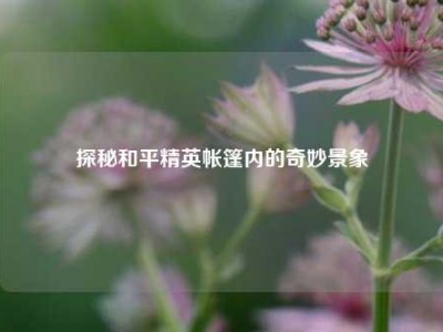 探秘和平精英帐篷内的奇妙景象