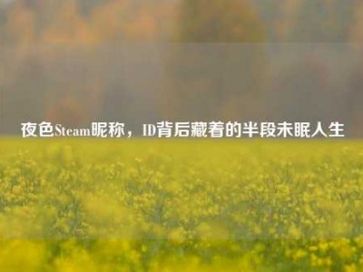 夜色Steam昵称，ID背后藏着的半段未眠人生