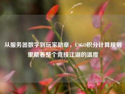 从服务器数字到玩家勋章，CSGO积分计算规则里藏着整个竞技江湖的温度