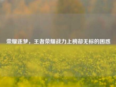 荣耀逐梦，王者荣耀战力上榜却无标的困惑