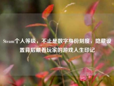Steam个人等级，不止是数字身份刻度，隐藏设置背后藏着玩家的游戏人生印记