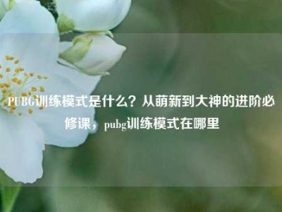 PUBG训练模式是什么？从萌新到大神的进阶必修课，pubg训练模式在哪里