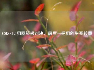 CSGO 1v1狙图终极对决，最后一把狙的生死较量