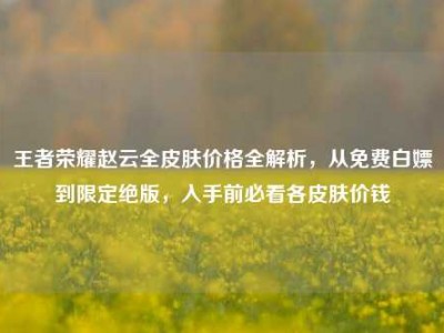 王者荣耀赵云全皮肤价格全解析，从免费白嫖到限定绝版，入手前必看各皮肤价钱