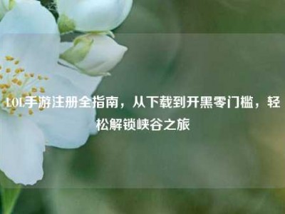 LOL手游注册全指南，从下载到开黑零门槛，轻松解锁峡谷之旅
