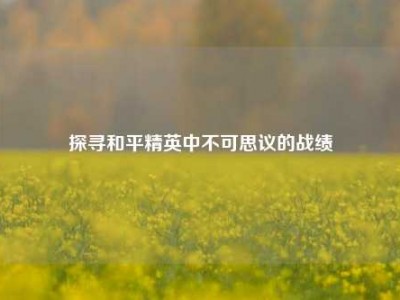 探寻和平精英中不可思议的战绩