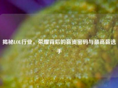 揭秘LOL行业，荣耀背后的薪资密码与最高薪选手
