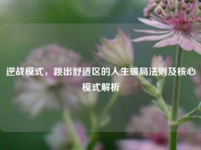 逆战模式，跳出舒适区的人生破局法则及核心模式解析
