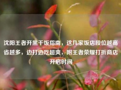 沈阳王者开黑干饭指南，这几家饭店段位越高省越多，边打边吃超爽，附王者荣耀打折商店开启时间