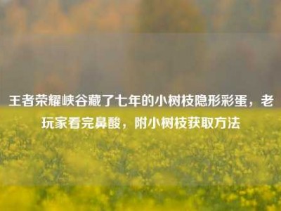 王者荣耀峡谷藏了七年的小树枝隐形彩蛋，老玩家看完鼻酸，附小树枝获取方法
