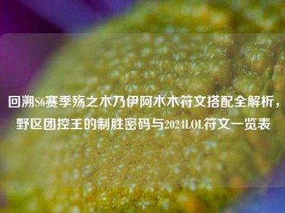 回溯S6赛季殇之木乃伊阿木木符文搭配全解析，野区团控王的制胜密码与2024LOL符文一览表