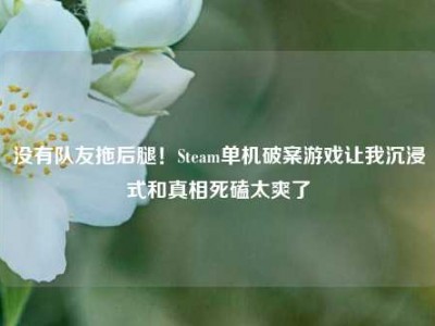 没有队友拖后腿！Steam单机破案游戏让我沉浸式和真相死磕太爽了
