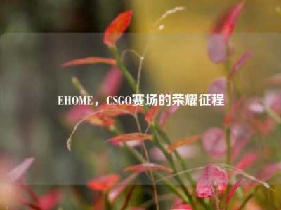 EHOME，CSGO赛场的荣耀征程