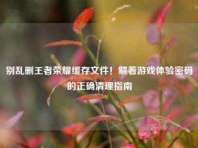 别乱删王者荣耀缓存文件！藏着游戏体验密码的正确清理指南